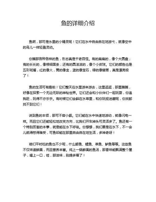 鱼的详细介绍