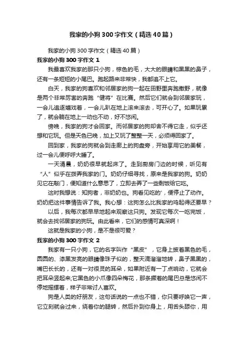 我家的小狗300字作文（精选40篇）