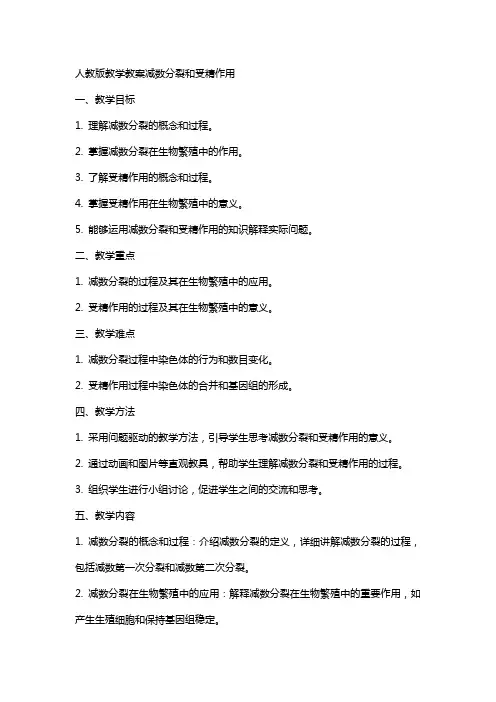 人教版教学教案减数分裂和受精作用