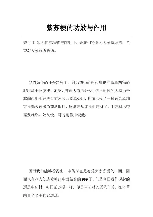 紫苏梗的功效与作用