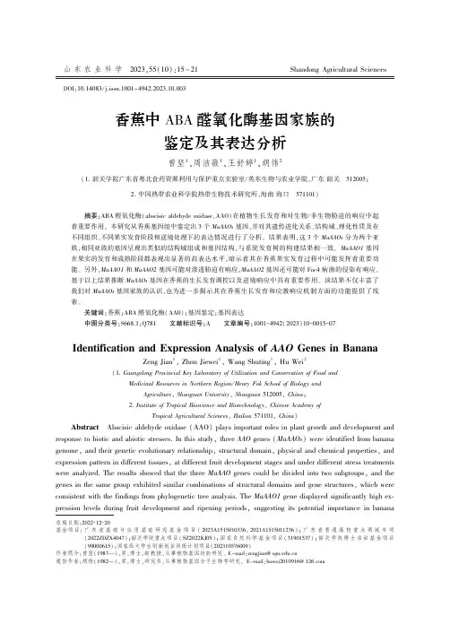 香蕉中ABA醛氧化酶基因家族的鉴定及其表达分析