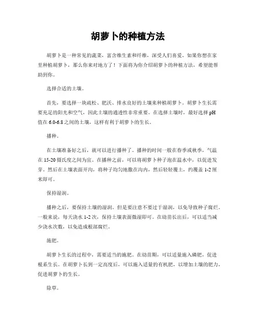 胡萝卜的种植方法