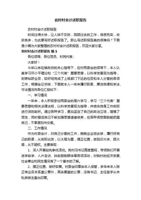 农村村会计述职报告