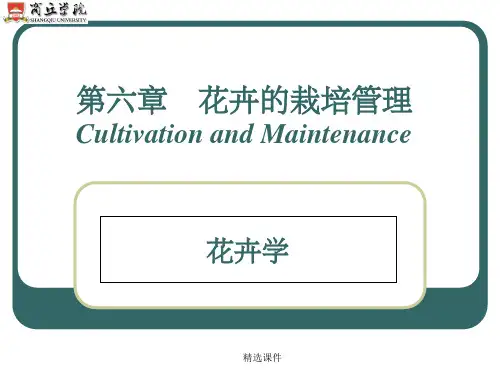 植物生长调节物质