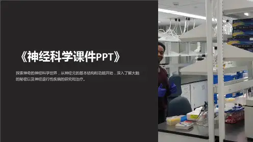 《神经科学课件PPT》