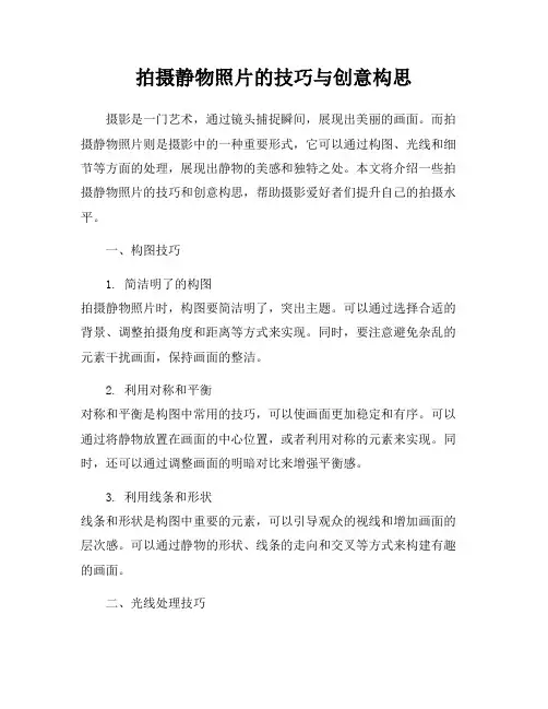 拍摄静物照片的技巧与创意构思