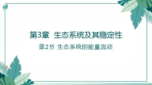 【高中生物】生态系统的能量流动+相关计算专题+课件+高二上学期生物人教版选择性必修2