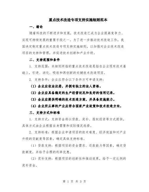 重点技术改造专项支持实施细则范本
