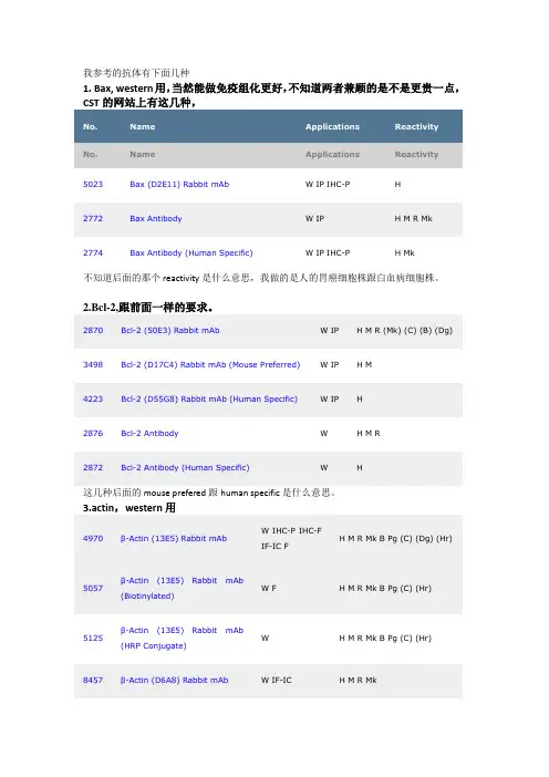 CST抗体