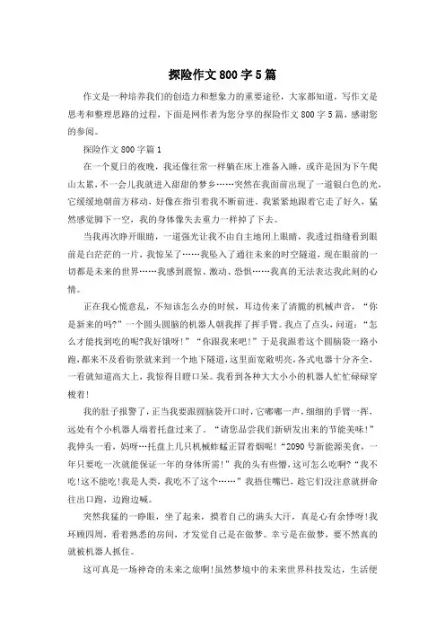 探险作文800字5篇