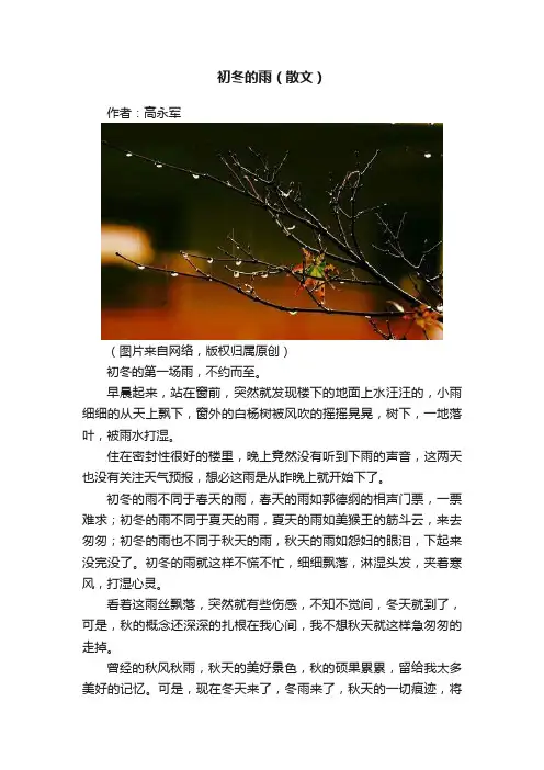 初冬的雨（散文）