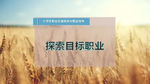 探索目标职业