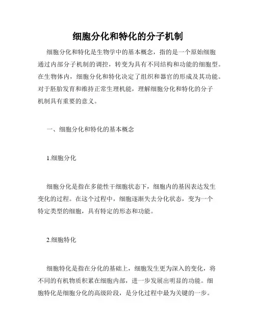 细胞分化和特化的分子机制