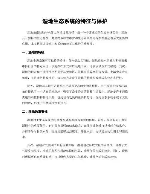 湿地生态系统的特征与保护