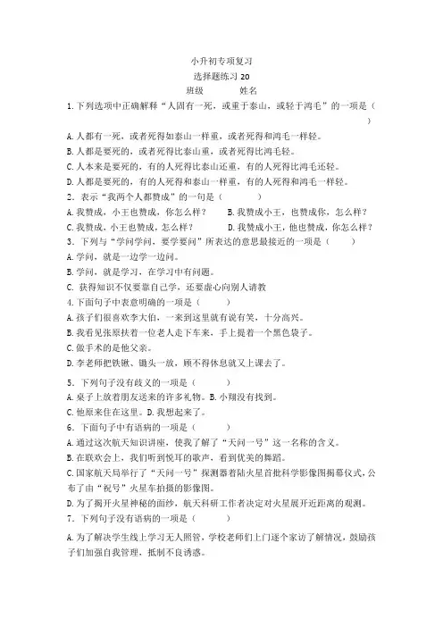 小升初专项复习选择题练习(试题)部编版语文六年级下册