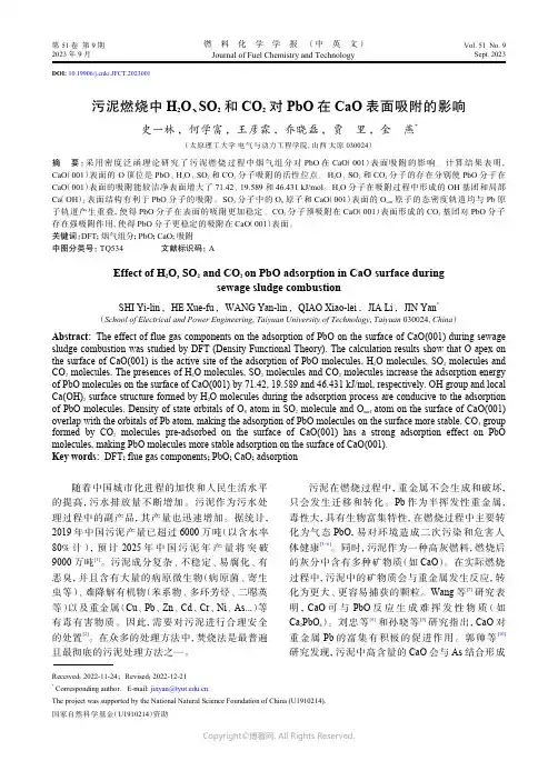 污泥燃烧中H2O、SO2和CO2对PbO在CaO表面吸附的影响