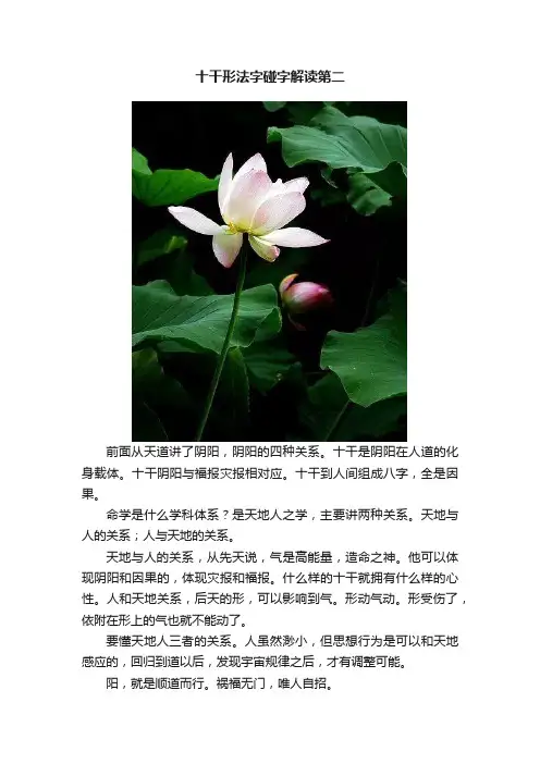 十干形法字碰字解读第二