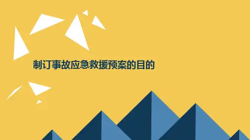 制订事故应急救援预案的目的 (1)