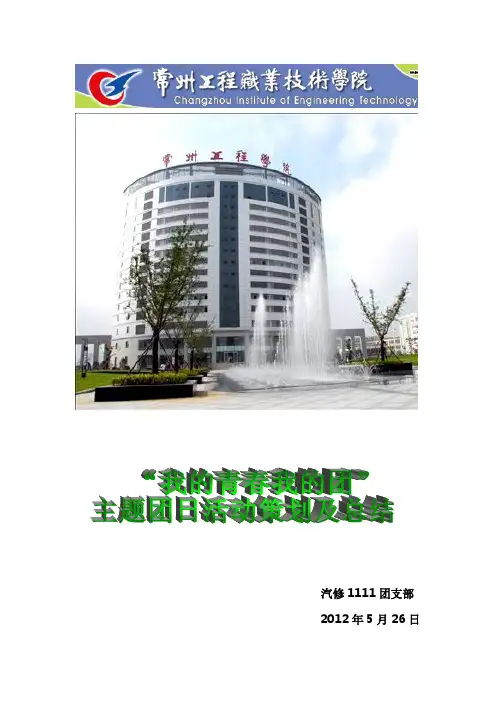 “我的青春我的团”主题团日活动