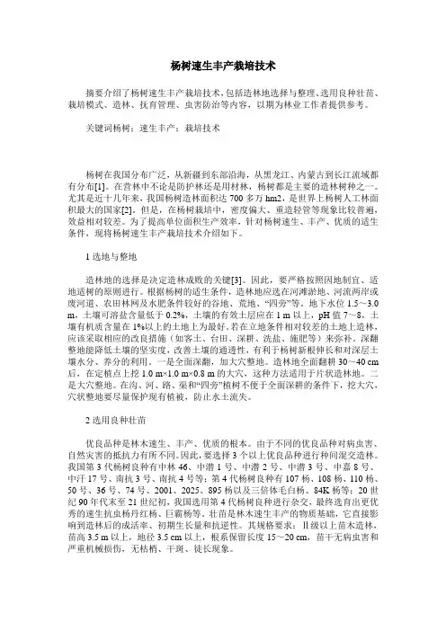 杨树速生丰产栽培技术