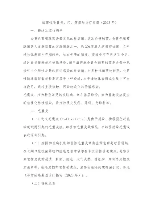 细菌性毛囊炎、疖、痈基层诊疗指南(2023年)