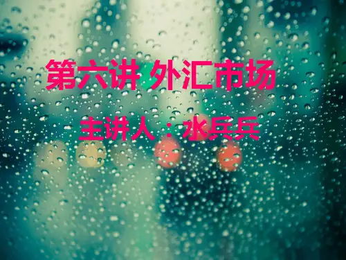 第六讲外汇市场