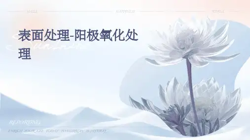 表面处理-阳极氧化处理