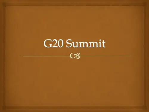 G20 峰会英文介绍