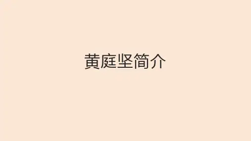 黄庭坚简介