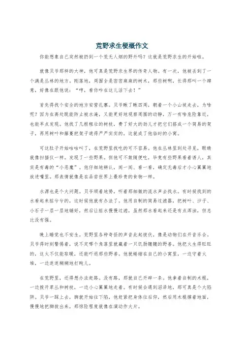 荒野求生梗概作文