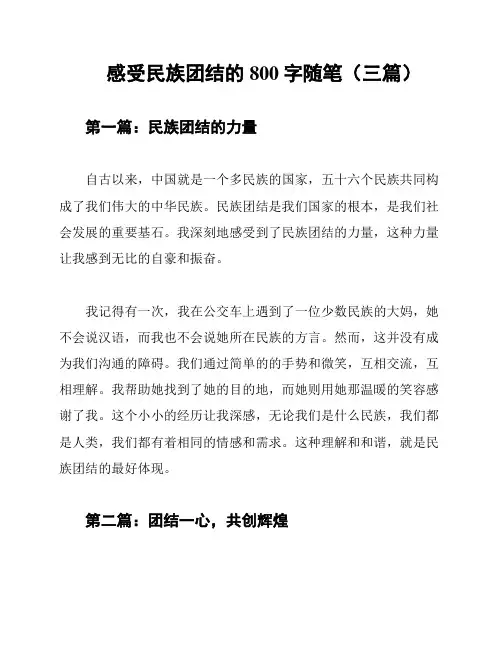 感受民族团结的800字随笔(三篇)