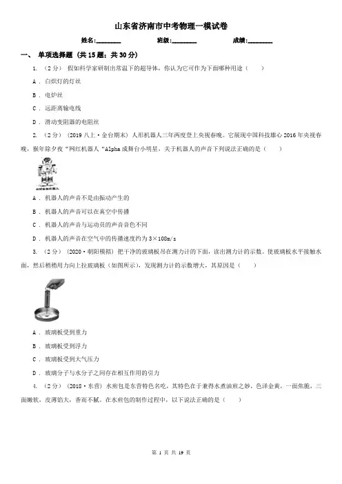 山东省济南市中考物理一模试卷