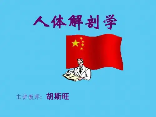 绪论、运动系统