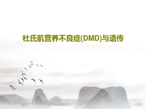 杜氏肌营养不良症(DMD)与遗传PPT文档共36页