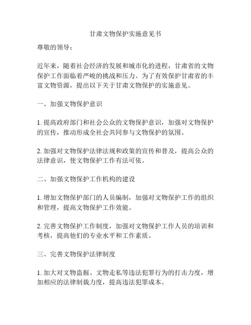 甘肃文物保护实施意见书
