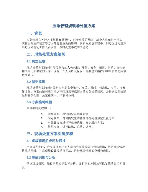 应急管理规现场处置方案