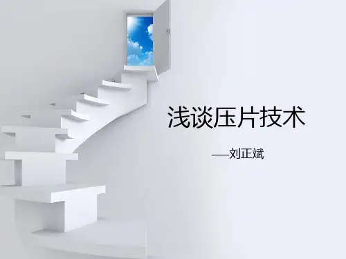 浅谈压片技术-PPT