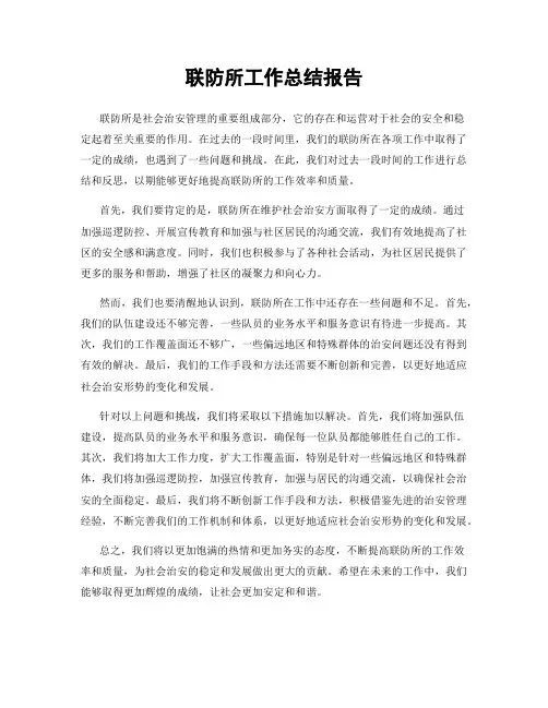 联防所工作总结报告