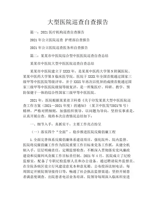 大型医院巡查自查报告