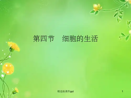 第四节细胞的生活(课件)