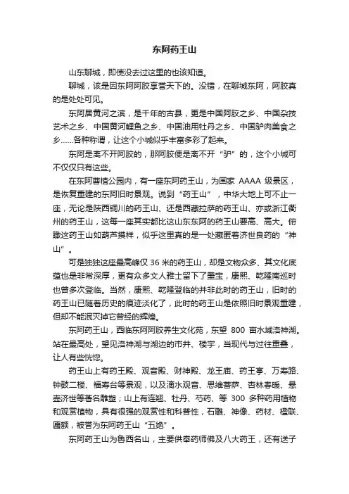 东阿药王山