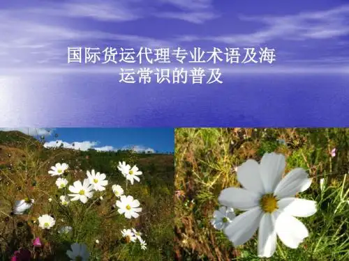 国际货运代理专业术语及常用海运知识