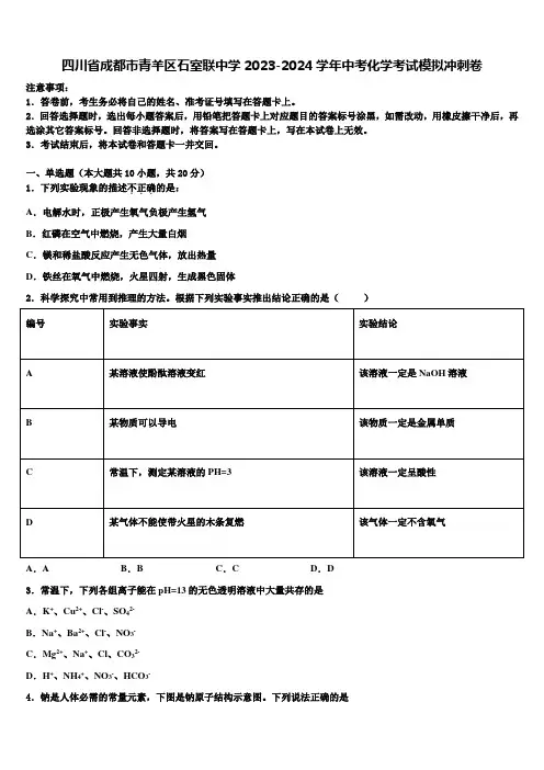 四川省成都市青羊区石室联中学2023-2024学年中考化学考试模拟冲刺卷含解析
