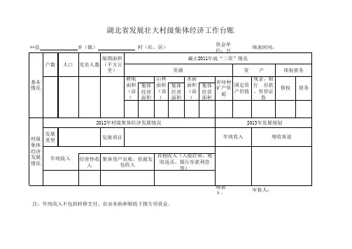 村极集体经济发展情况管理台帐