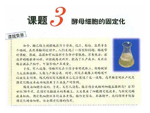课题3  酵母细胞的固定化