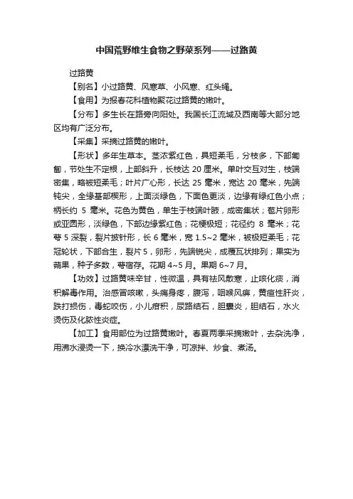 中国荒野维生食物之野菜系列——过路黄