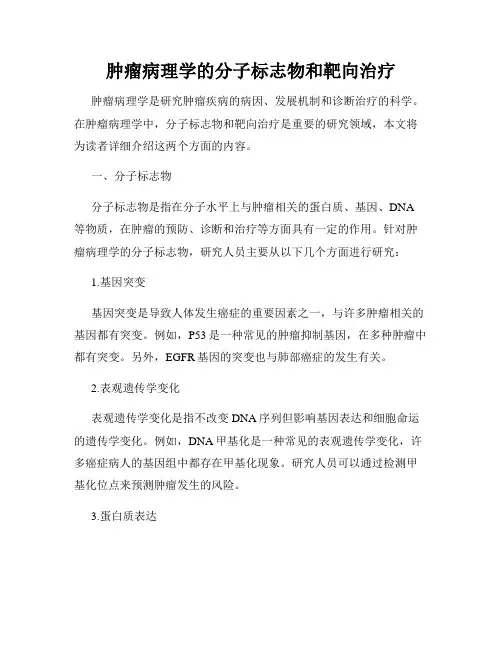 肿瘤病理学的分子标志物和靶向治疗