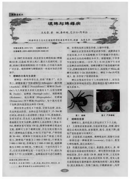硬蜱与蜱媒病