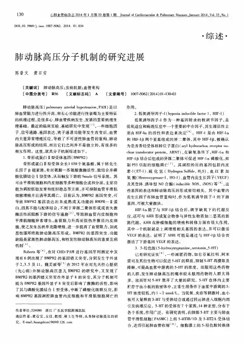肺动脉高压分子机制的研究进展
