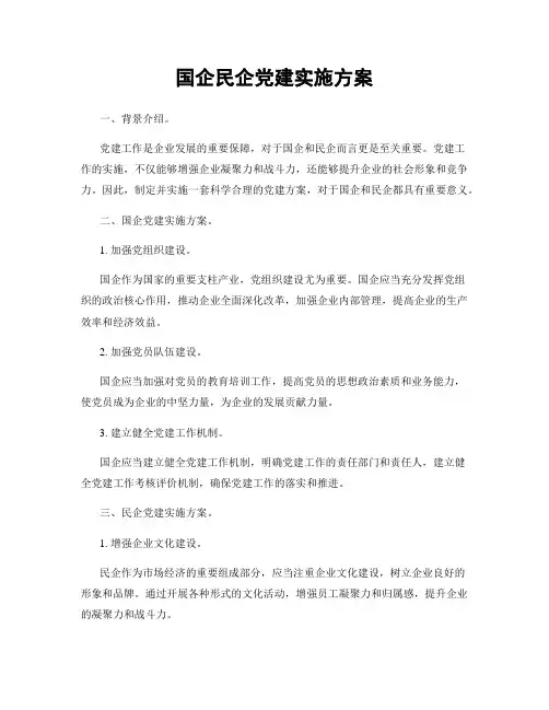 国企民企党建实施方案
